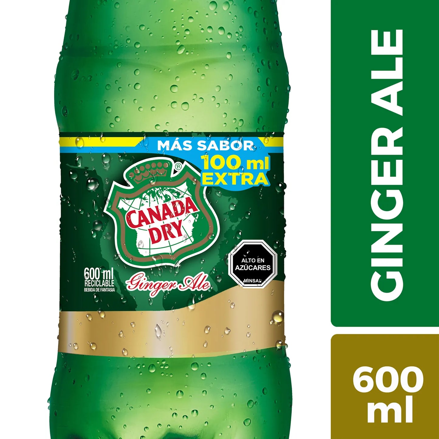 Bebida Ginger Ale 600 ml