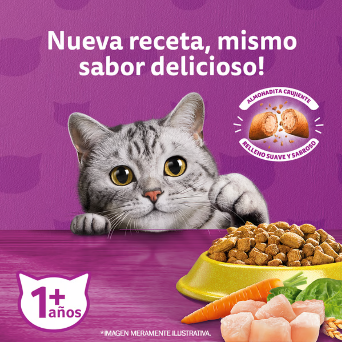 Alimento Seco para Gatos Whiskas Sabor Pollo 10 Kg