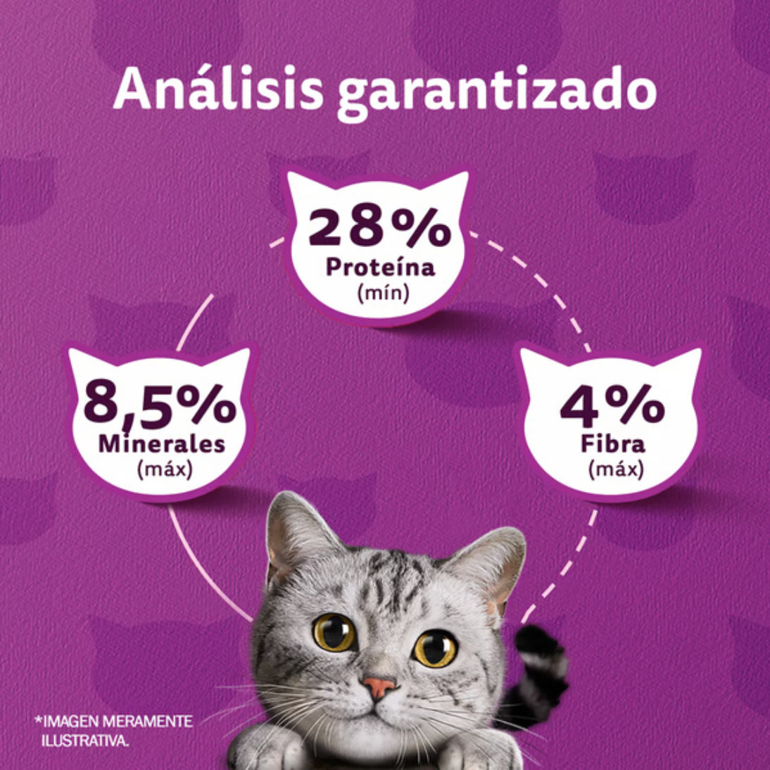 Alimento Seco para Gatos Whiskas Sabor Pollo 10 Kg