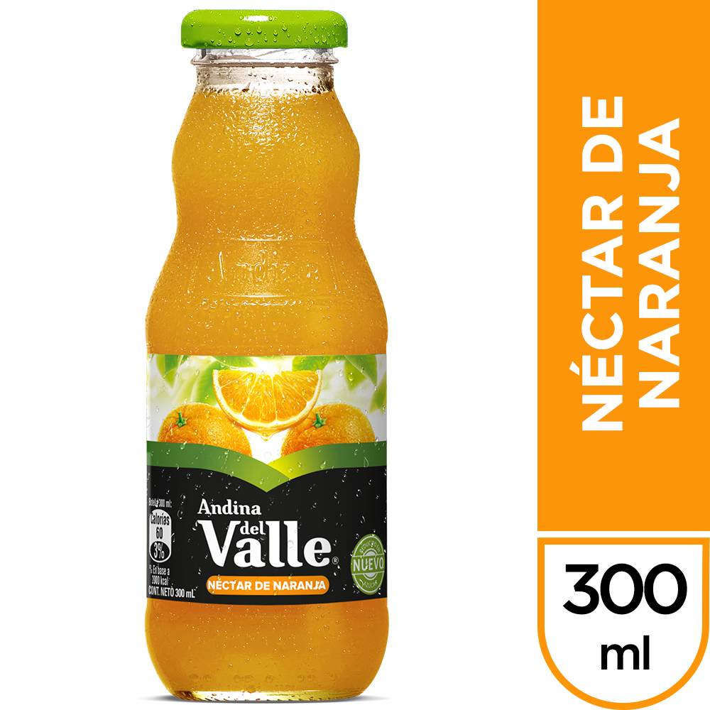 Néctar Andina Del Valle Naranja 300 Ml