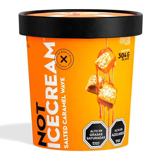 Helado Not IceCream Caramelo 304 Gr